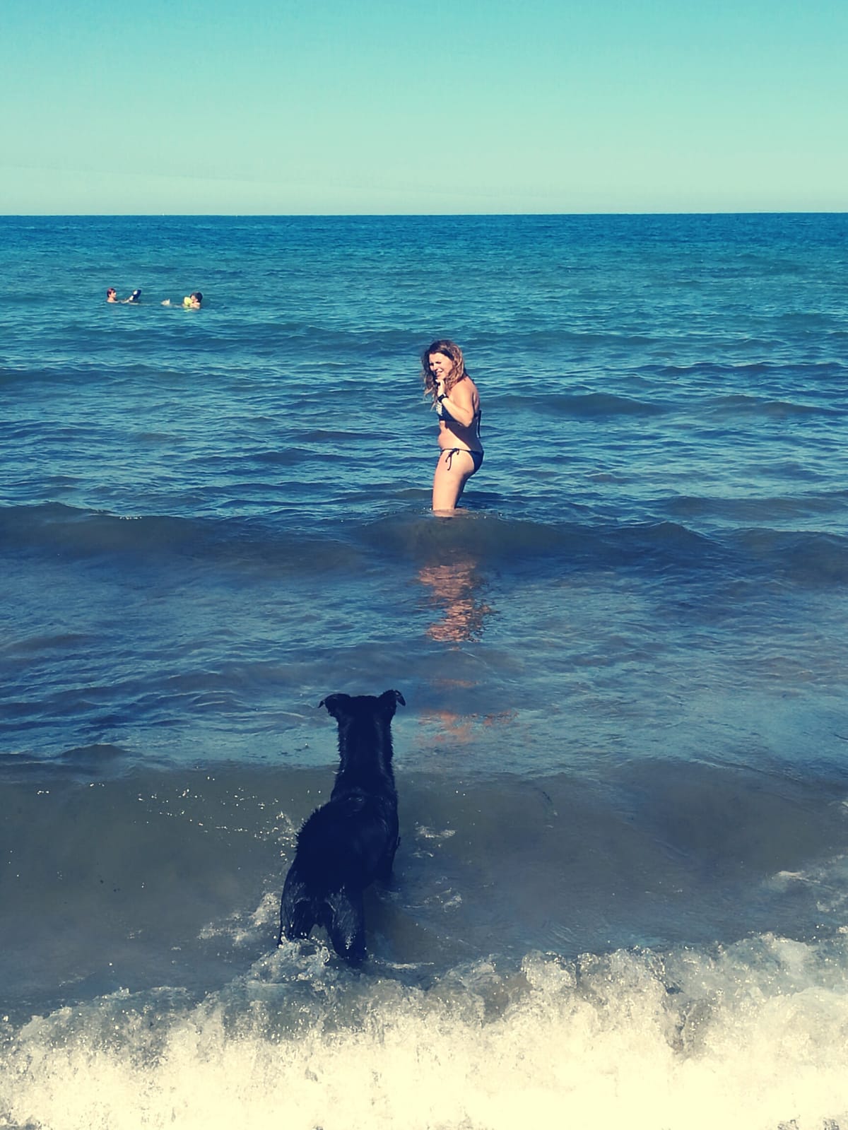 Entering in the water with my dog - 8 tips for taking your dog to the beach