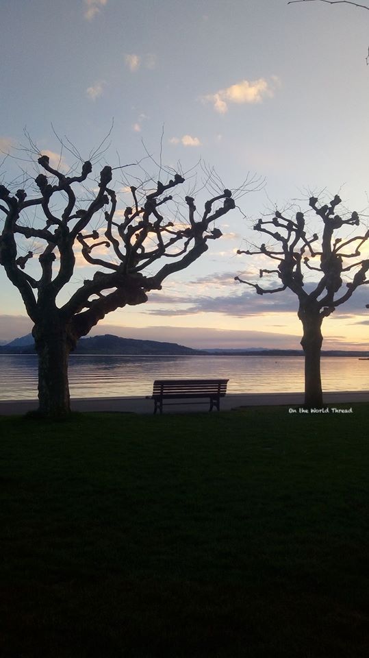 The lake of Zug - Switzerland